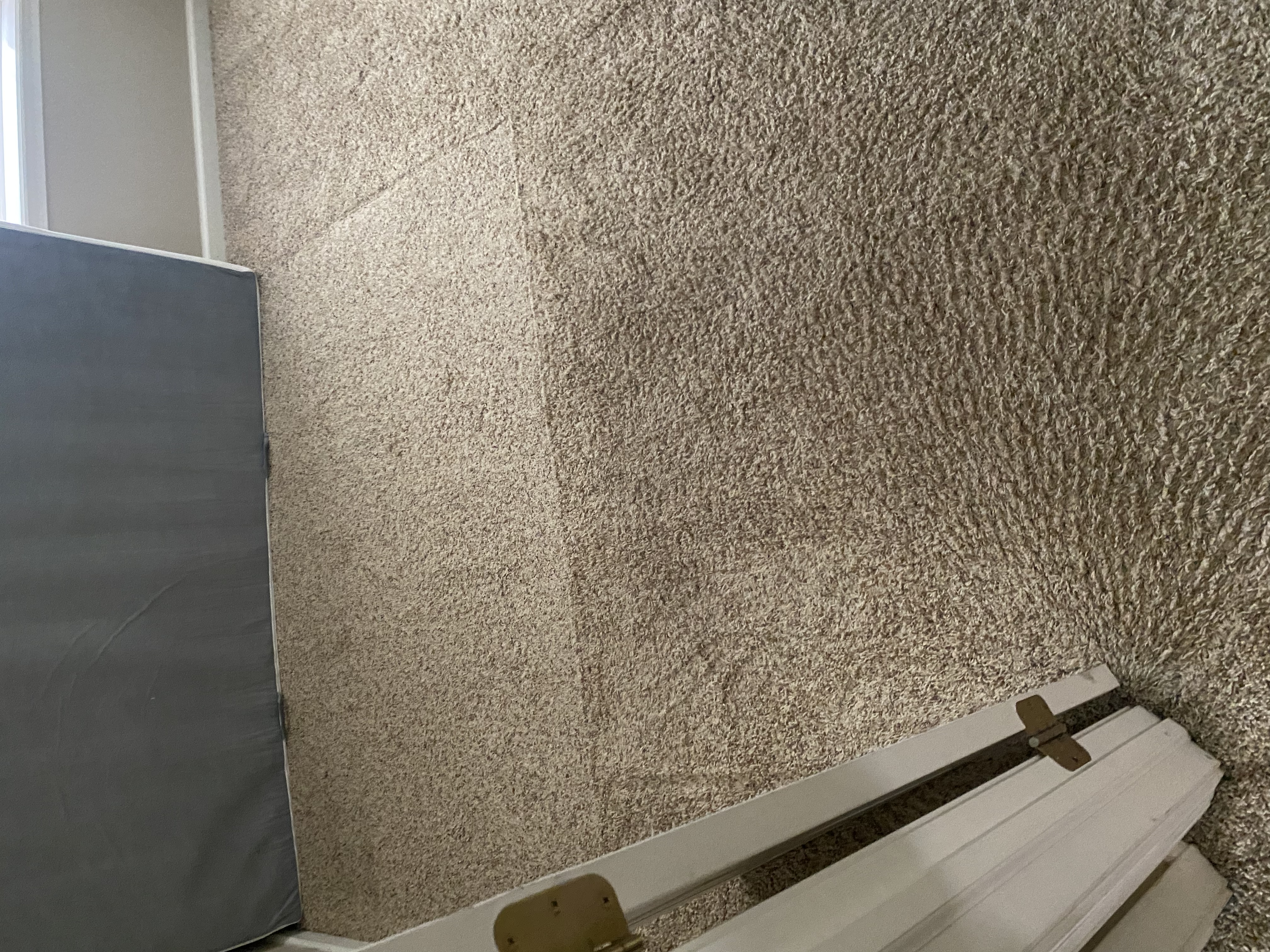 Carpet cleaning before and after comparison