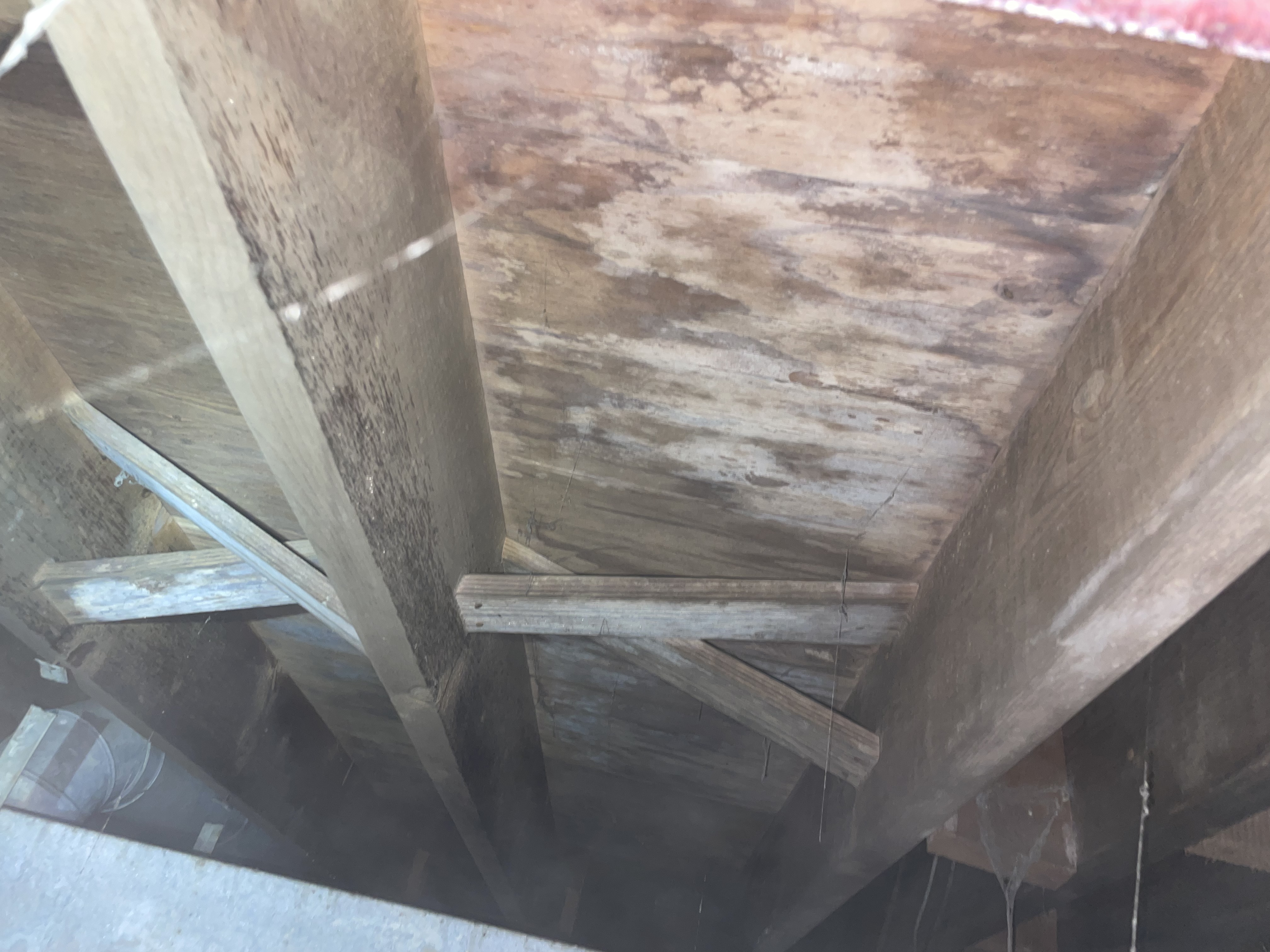 Mold and moisture damage on crawl space subfloor and floor joists