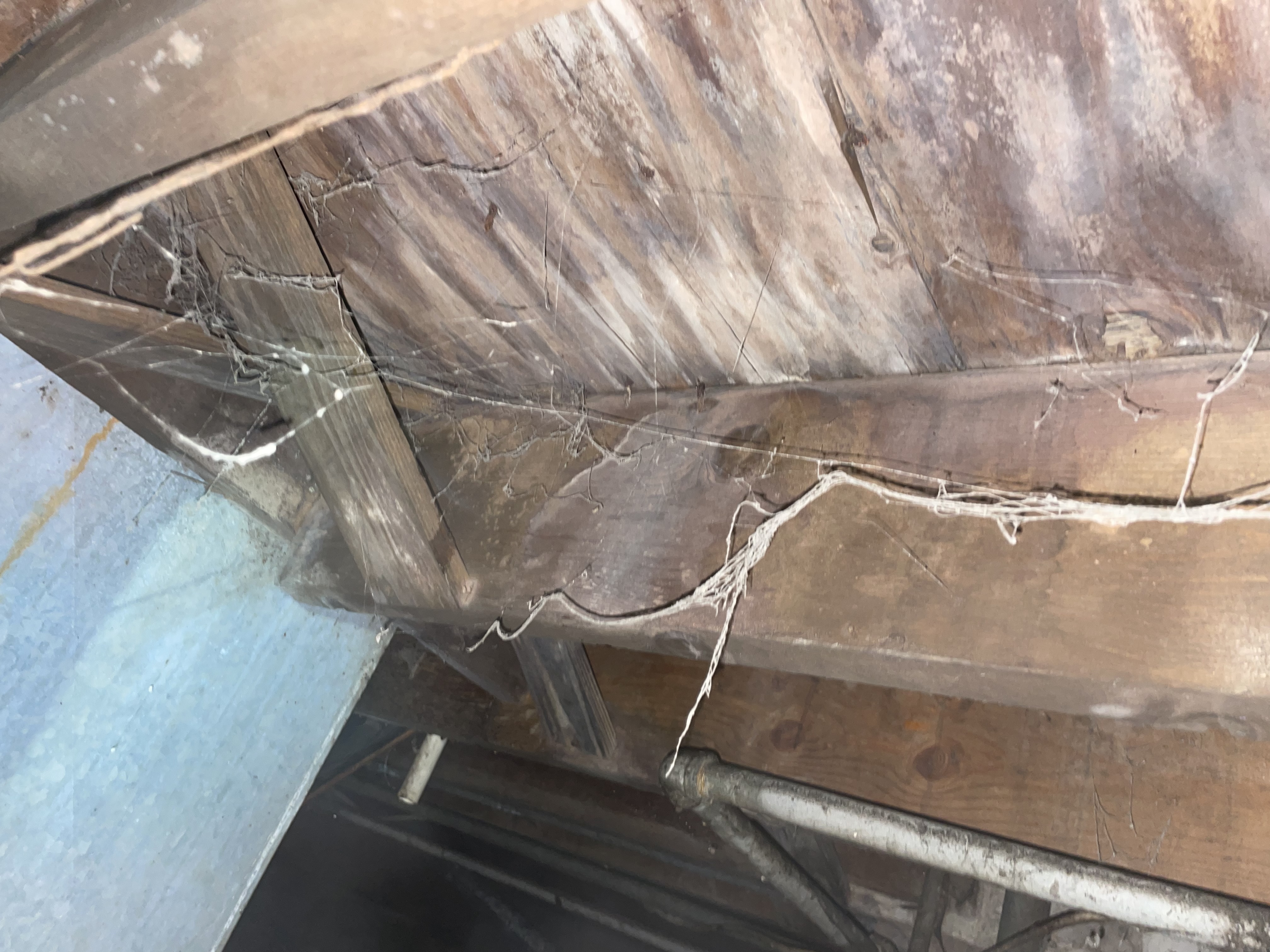 Crawl space with mold growth on wood framing before encapsulation
