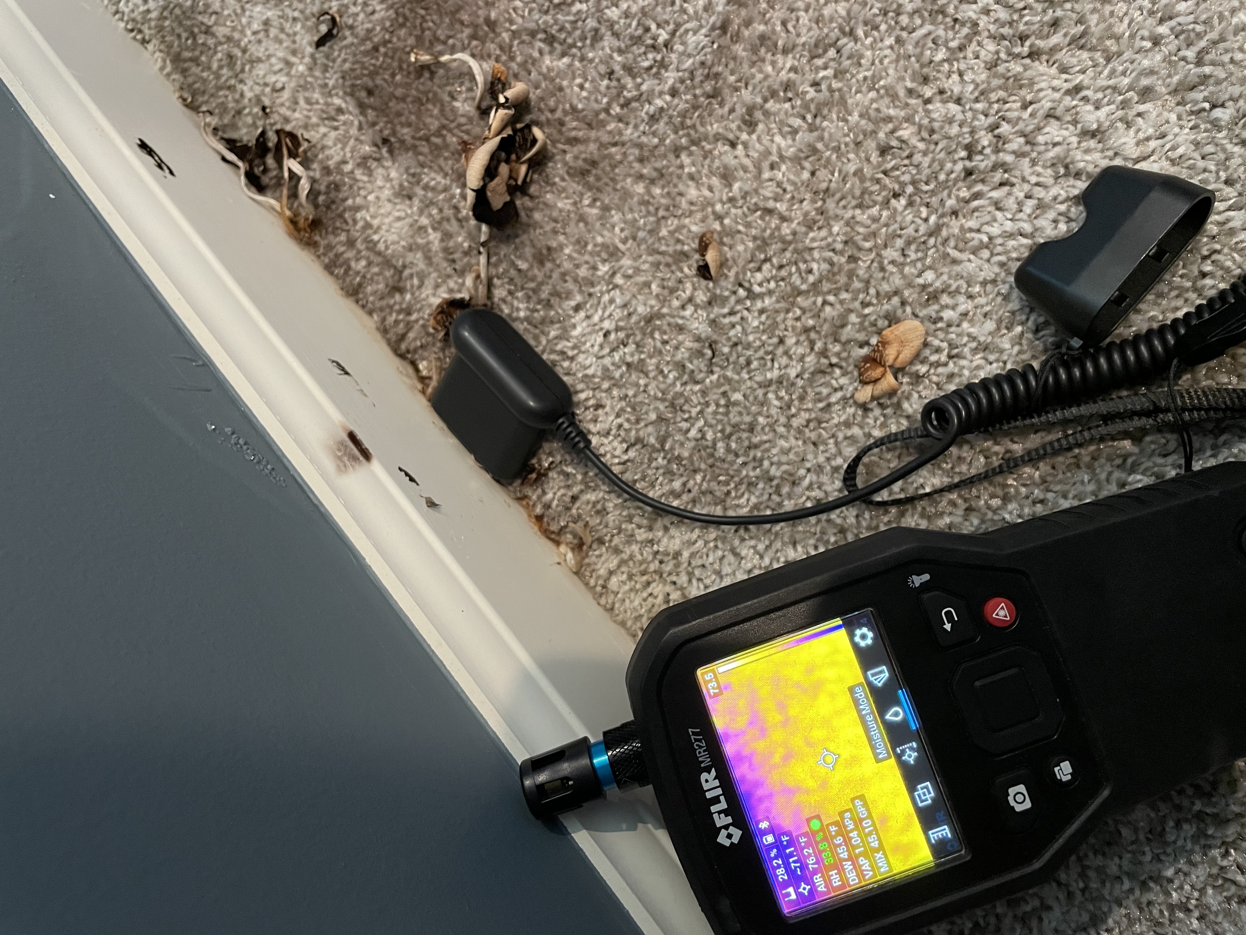 FLIR thermal camera detecting hidden moisture during mold inspection